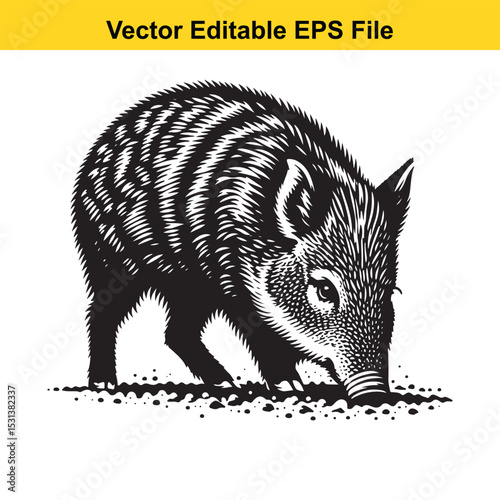 A Monochrome Illustration of a Javelina Foraging in its Native Environment with Vector Editable EPS File Indicator