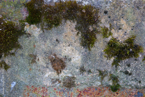 Rough texture of an old stone wall covered with moss and rust stains, creating a natural pattern. This detailed surface demonstrates the interaction of time and nature, giving a sense of resilience an