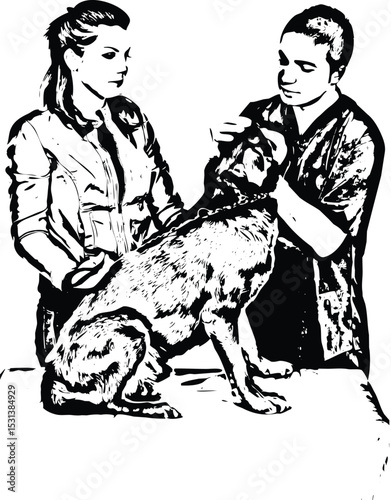 Veterinary examine dog