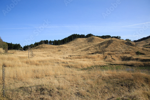 兵庫県神河町　砥峰高原の風景