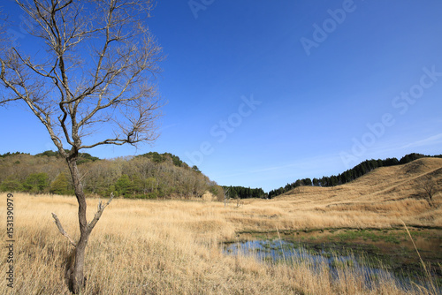 兵庫県神河町　砥峰高原の風景