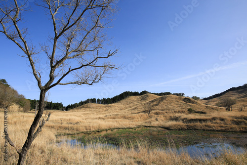 兵庫県神河町　砥峰高原の風景