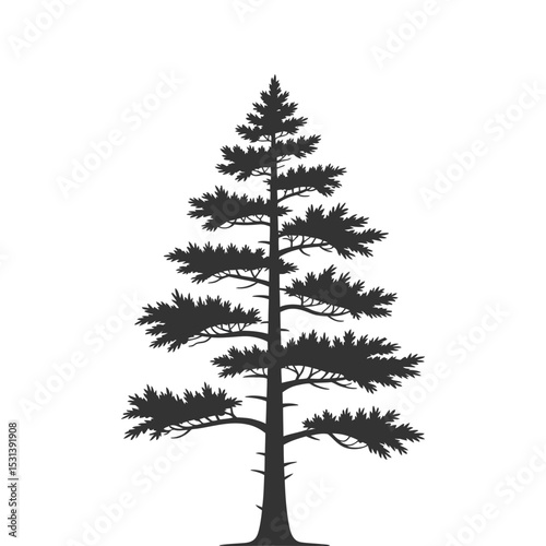 Flat Color Pine Tree Vector on White Background.