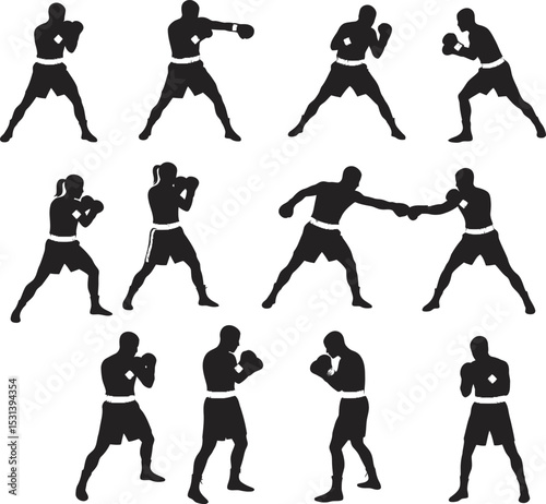 Boxing Silhouette Collection Vector White Color Background