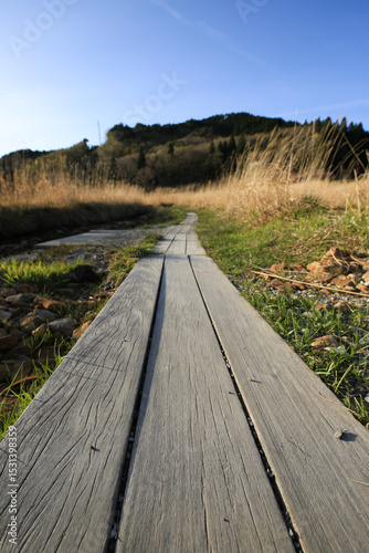 兵庫県神河町　砥峰高原の風景
