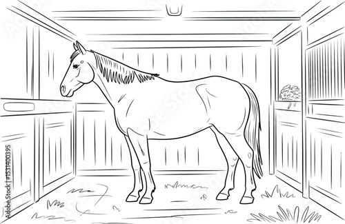 A horse standing in a stable stall, ready for grooming and care