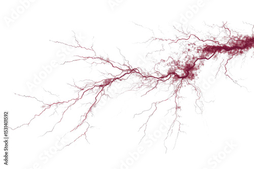 Wallpaper Mural Branching red electrical discharge mimicking lightning or intricate vascular network Torontodigital.ca