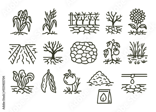 Plant set. agriculture silhouette icons: corn, tomato, sunflower, fertilizer, drip irrigation vector icons.