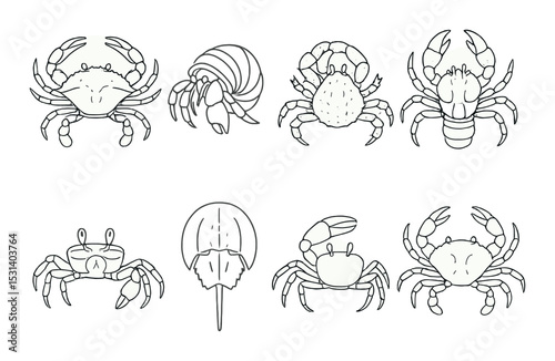Crab set. marine life linear crabs collection. hermit, horsehoe, claws, ocean vector icons.