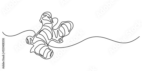 Ginger vector illustration. One line drawing art illustration organic ginger, Single one line drawing of healthy organic ginger for harvesting logo identity. Fresh flowering plant rhizome concept pro.