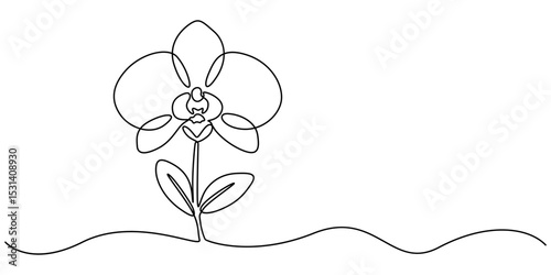Hand drawn orchid flowers. One line drawing. Minimalist art, Phalaenopsis flower one line art. Continuous line drawing of plants, herb, flower, blossom, nature, flora, tropical flowers, orchid.