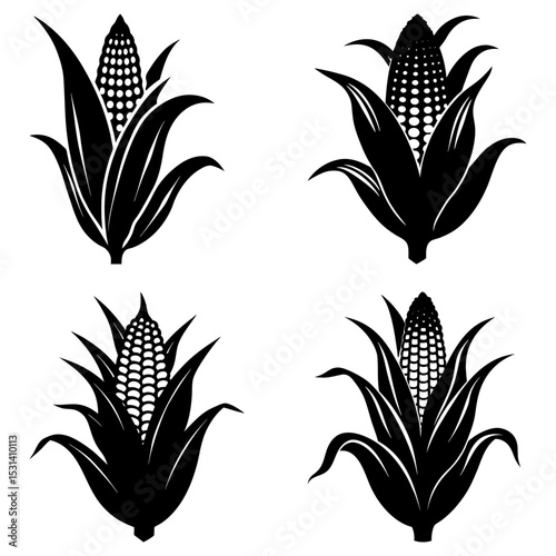 Four black and white vector illustrations of corn cobs with husks in varying arrangements and styles
