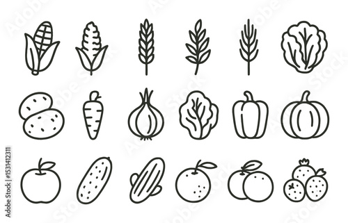 Vegetable set. organic food linear icons. corn, wheat, potato, carrot, fruit vector icons.