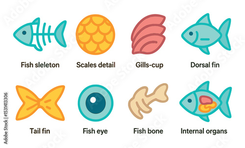 Fish anatomy icon set. marine life flat icons: skeleton, scales, gills, fins, organs vector icons