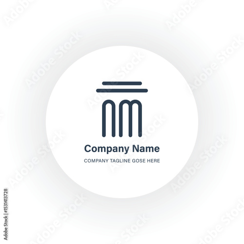 Flat design professional mn logotype
