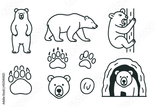 Bear set. wildlife linear bears, paw prints, cave vector icons.