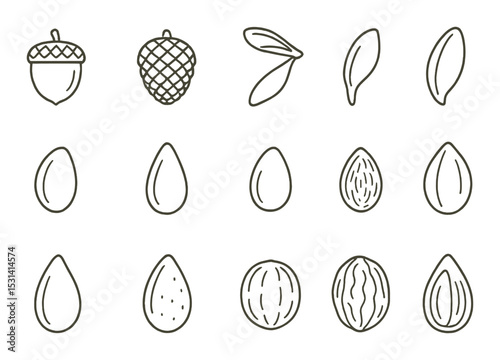 Nut and seed set. linear style nuts, seeds, acorn, pine, sesame, almond vector icons.