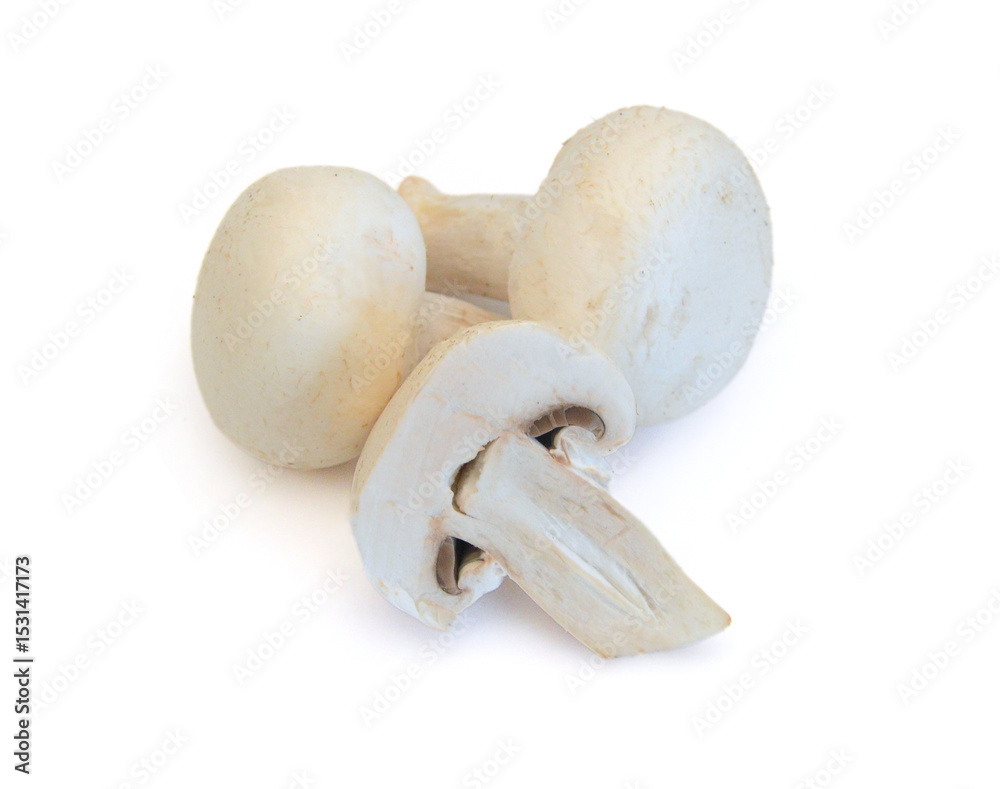 Fototapeta premium Edible button mushroom isolated on white background