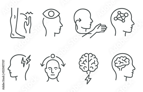 Anatomy set. human body, head, brain, nerve, eye flat outline vector icons.