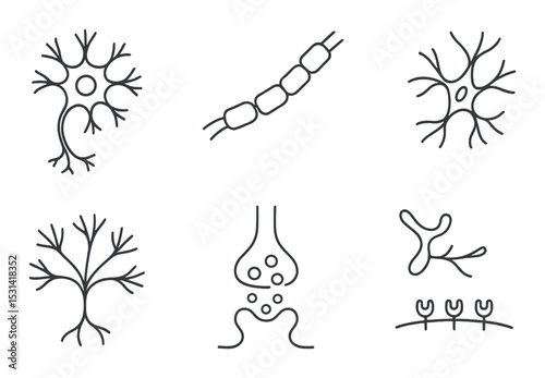 Neuron icon set. neural connections silhouette. dendrite, synapse, axon, neurotransmitter vector icons.