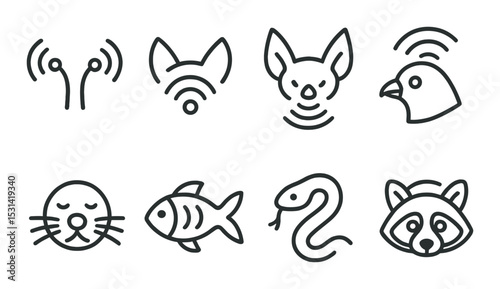 Animal soundwave set. wildlife communication linear icons: bat, bird, fish, snake, vector icons.
