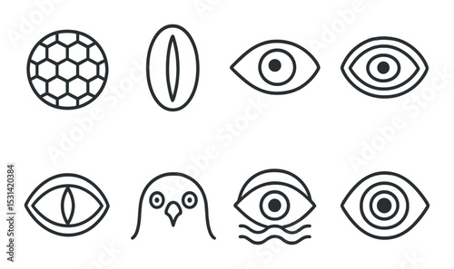 Eye icon set. geometric, animal eye shapes silhouette style. eye, sphere, bird vector icons.