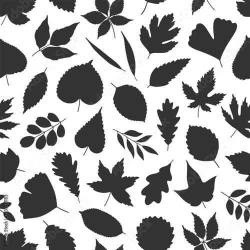 Seamless pattern with black silhouettes of various leaves. Leaf of maple, linden, birch, hawthorn, and ginkgo on white. Template for textile, package, wrapping paper. Vector illustration, minimal