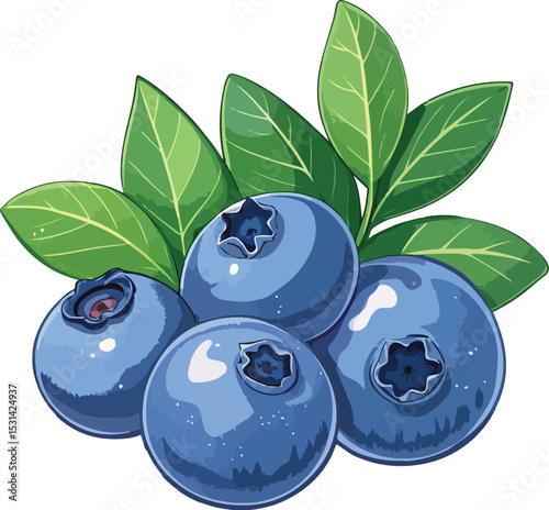 blueberries with leaves