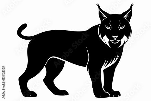 lynx sihouette black vector