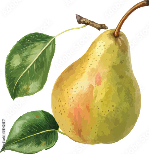 pear with leaves