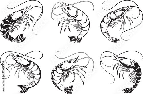 Set of shrimp silhouette vector illustrations. Realistic and beautifully drawn shrimp images, seafood superfood, black sea animal drawings isolated on white background. Perfect for menus and design.