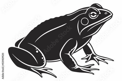 african bullfrog sihouette black vector 