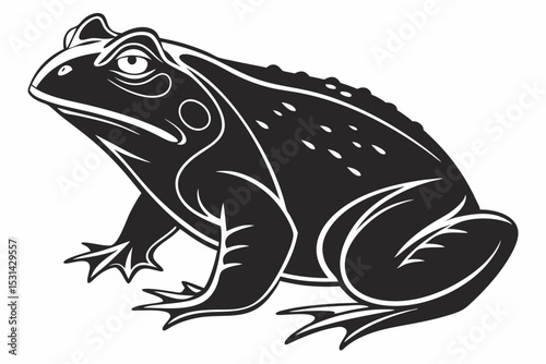 african bullfrog sihouette black vector 