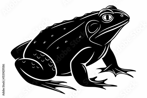 african bullfrog sihouette black vector 