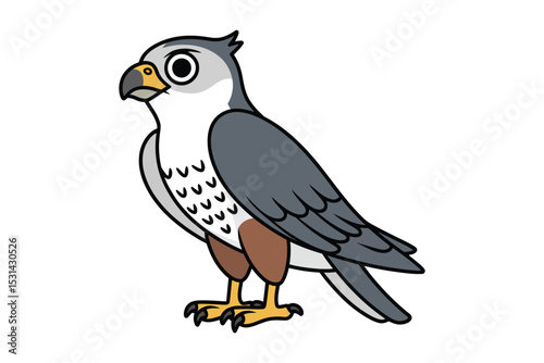 A Falcon bird vector art illustration