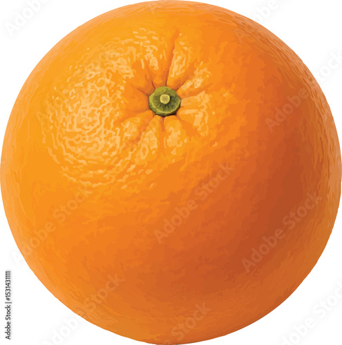 orange on white background