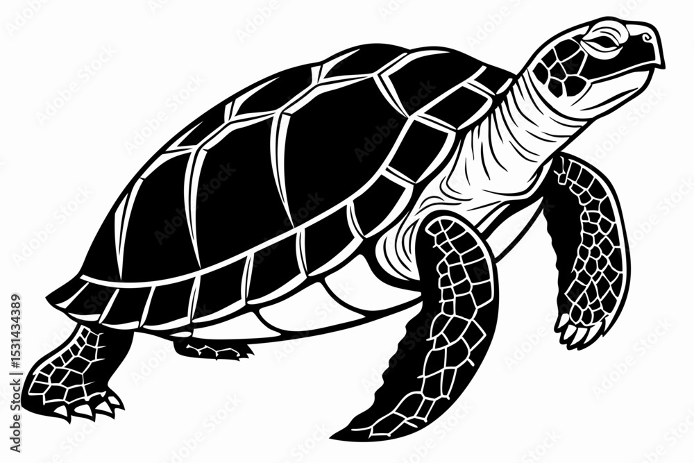 Obraz premium aldabra tortoise sihouette black vector