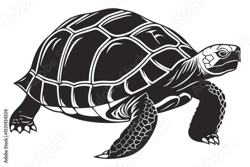 aldabra tortoise sihouette black vector