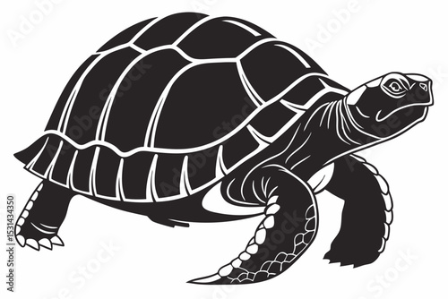 aldabra tortoise sihouette black vector