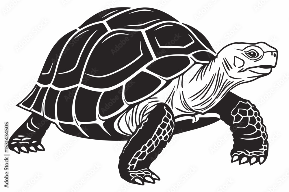 Fototapeta premium aldabra tortoise sihouette black vector
