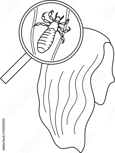 Coloring page with nymph head louse (Pediculus humanus) under magnifying glass isolated on white background. Lice check