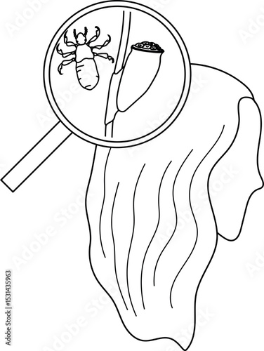 Coloring page with nymph head louse (Pediculus humanus) and egg (nit) attached to hair under magnifying glass isolated on white background. Lice check