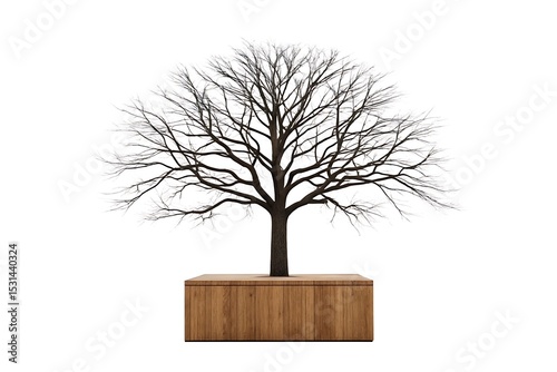 Bare tree rising from a wooden block, isolated on white background