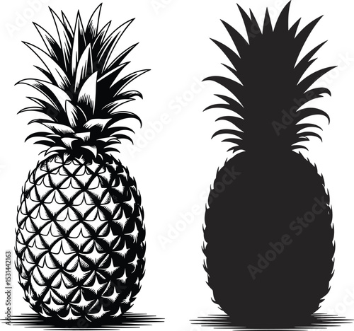 Detailed Pineapple Illustrations: Textured and Silhouette Designs for Tropical, Summer, Food, and Healthy Lifestyle Graphics