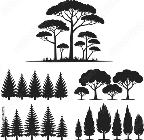 Diverse Tree Silhouettes Collection: Coniferous Pine, Tall Cypress, and Unique African Acacia Designs for Nature, Landscape, and Outdoor Graphics