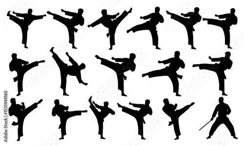 Set Bundle of Energetic Martial Arts Silhouettes Demonstrating Kicking Techniques for Creative Sports Illustrations and Graphic Designs