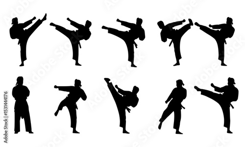 Set Bundle of Dynamic Martial Arts Silhouettes Featuring Various Kicking Poses for Engaging Sports and Fitness Illustrations
