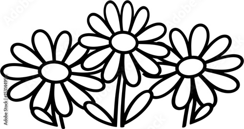 Daisy Trio