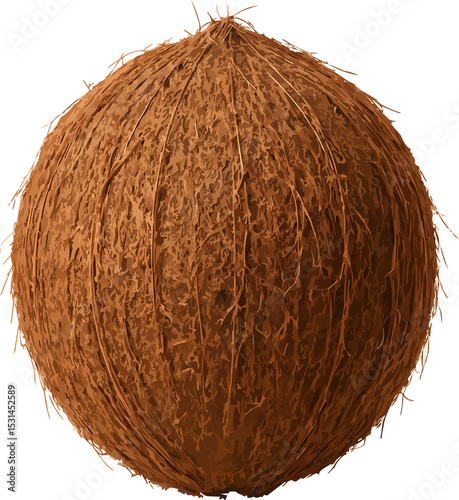  Whole Brown Coconut on White Background