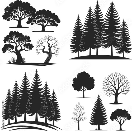 Comprehensive Tree Silhouettes Collection: Diverse Coniferous Pine, Deciduous Oak, and Bare Winter Tree Designs for Nature and Landscape Graphics